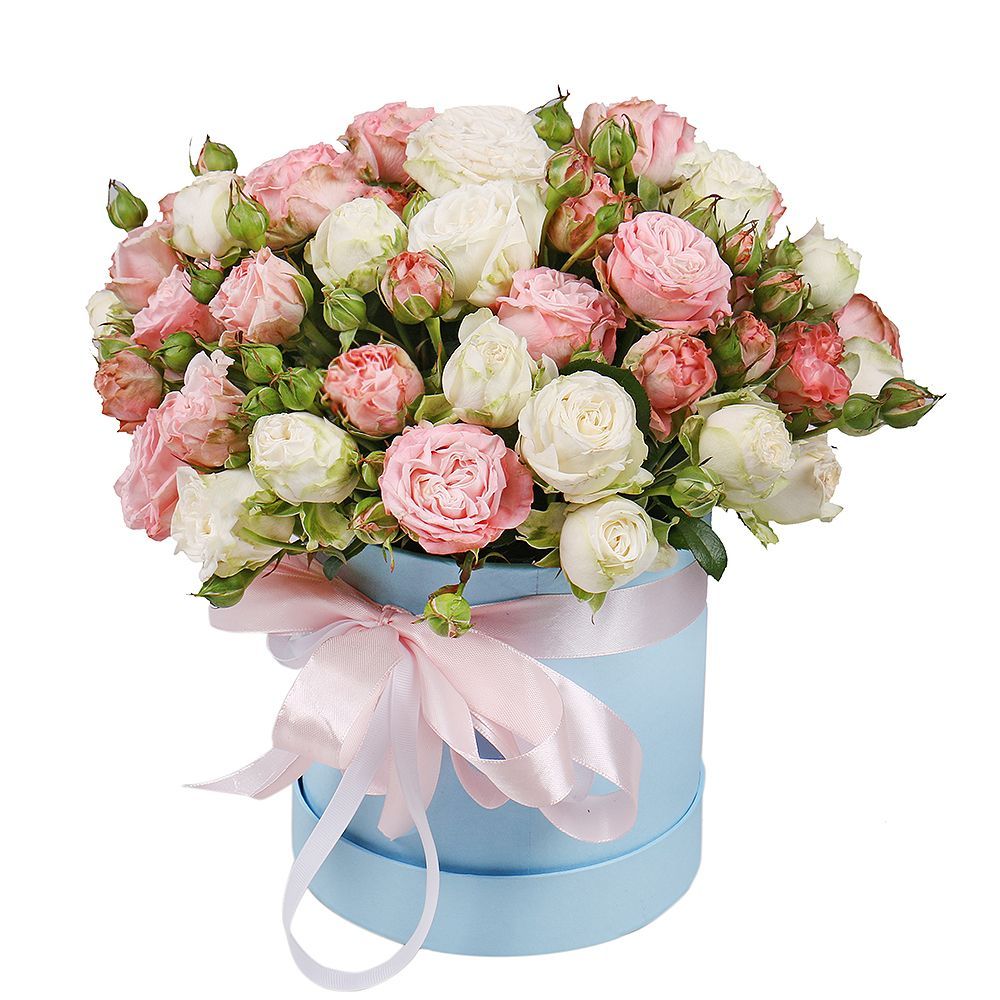 white spray rose, pink spray roses, round box s 15x16cm, oasis, packaging, ribbon