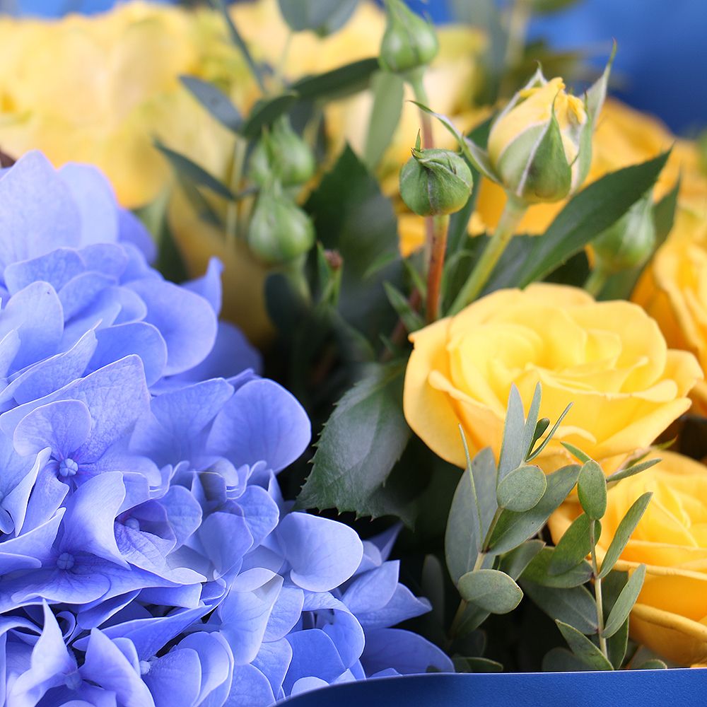 hydrangea, yellow rose (3 pcs.), yellow spray rose (3 pcs.), eucalyptus, packaging, ribbon