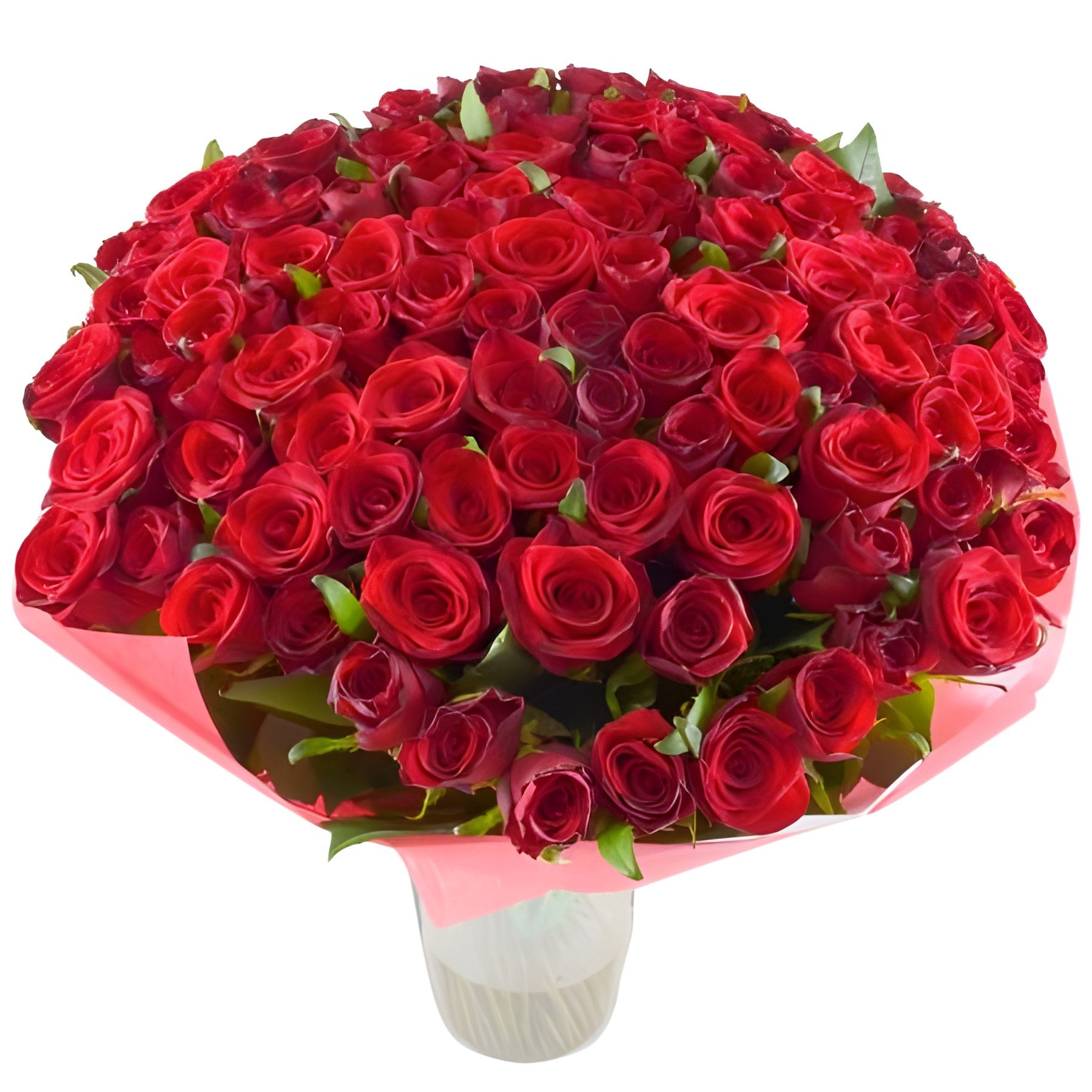 rose (101 pcs.), packaging, ribbon
