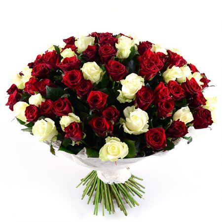 Order the bouquet of 101 red-and-white roses in our online shop. Delivery!
