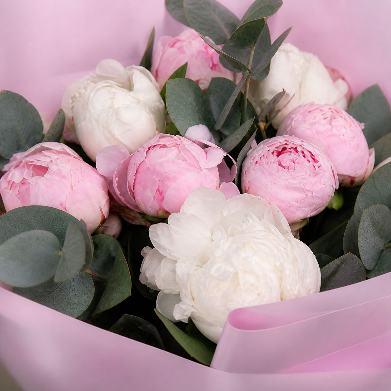 white peony (7 pcs.), pink peony, eucalyptus, packaging, ribbon