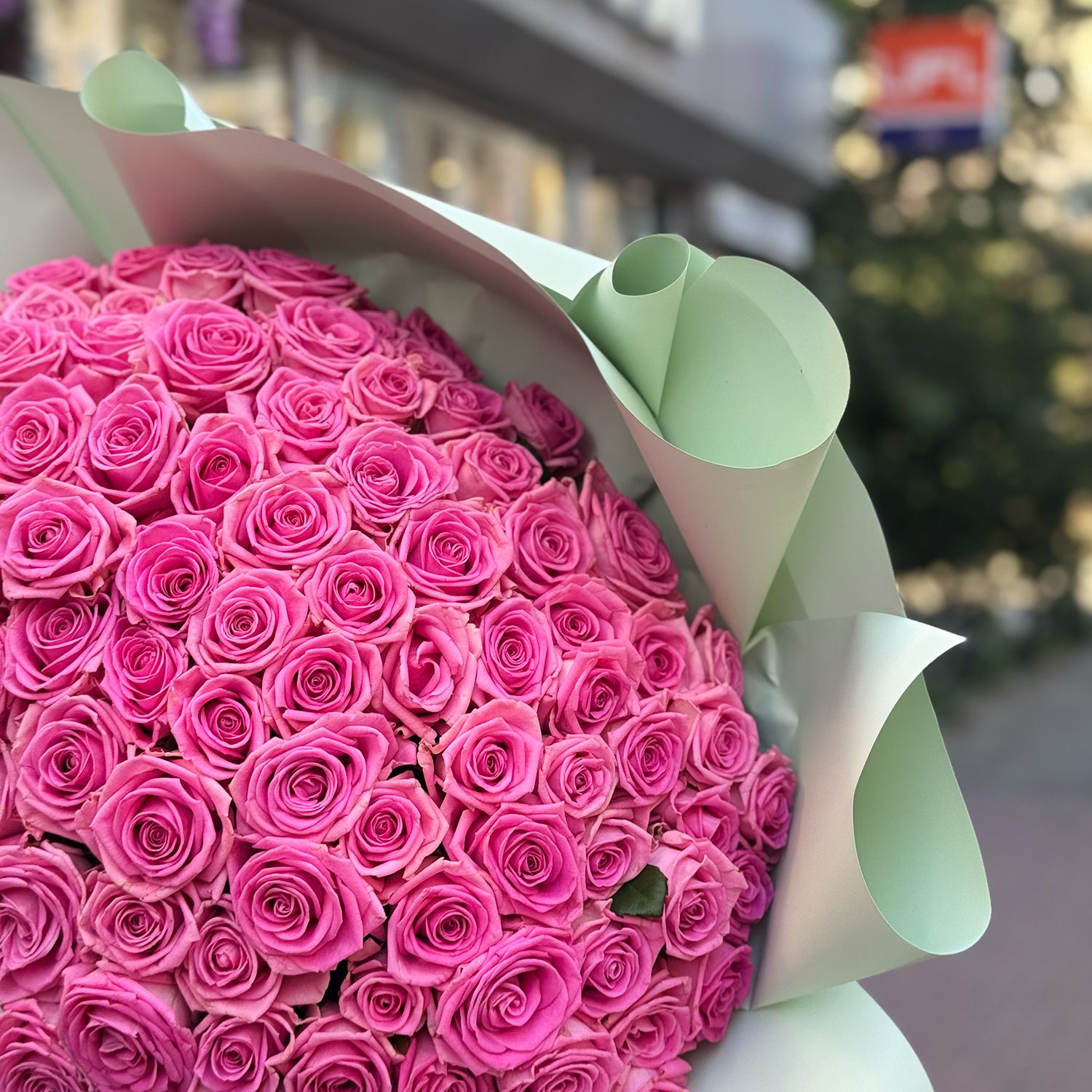 pink rose (101 pcs.), packaging, ribbon