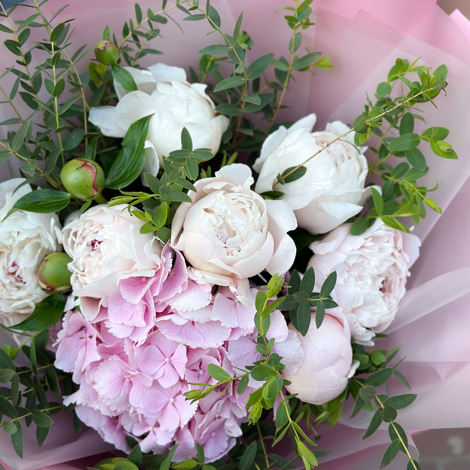 pink hydrangea, white peony (7 pcs.), eucalyptus, packaging, ribbon