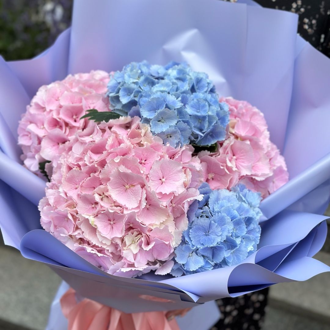 Bouquet 5 hydrangeas