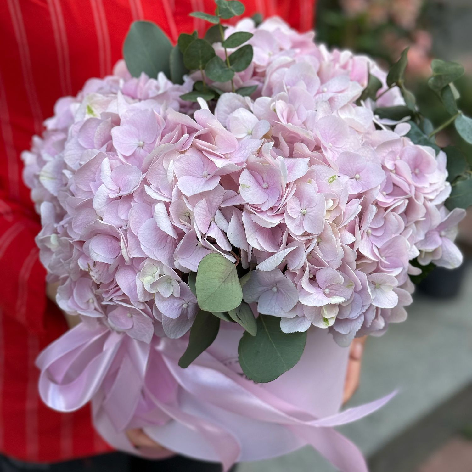 pink hydrangea, oasis, round box m 20x21cm, eucalyptus, packaging, ribbon
