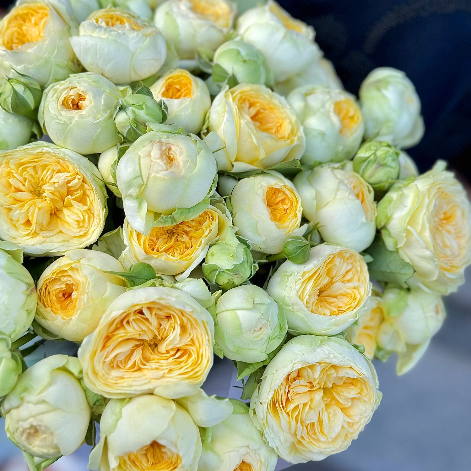 Bouquet Yellow spray roses in a box