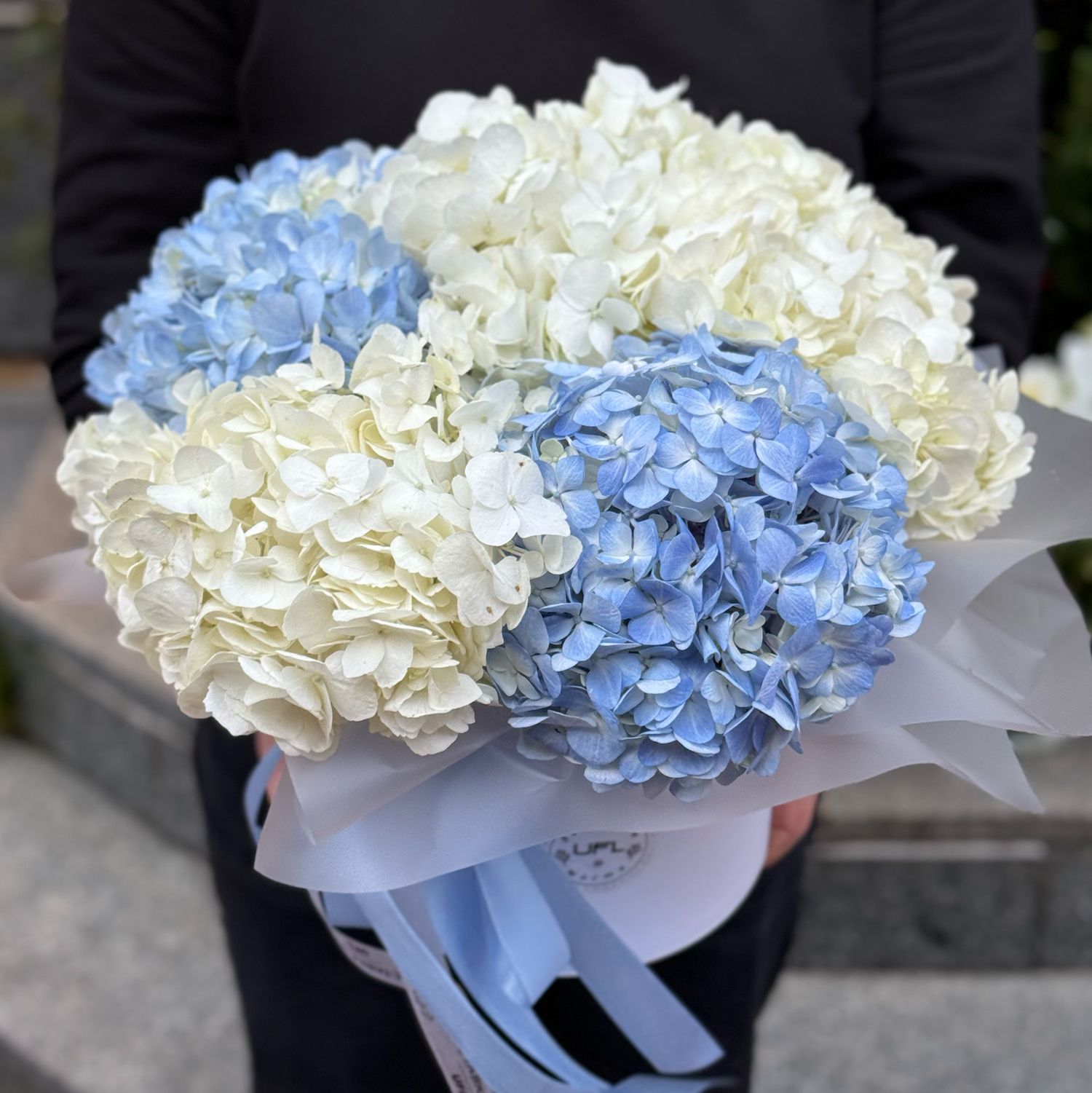 Bouquet Tender hydrangeas in a box 5pcs