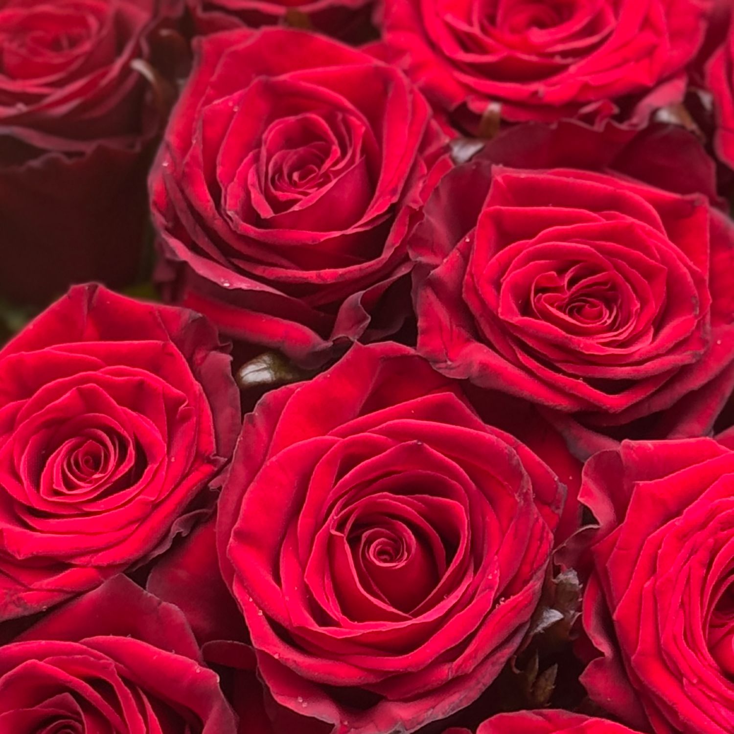 Bouquet Love is in the air