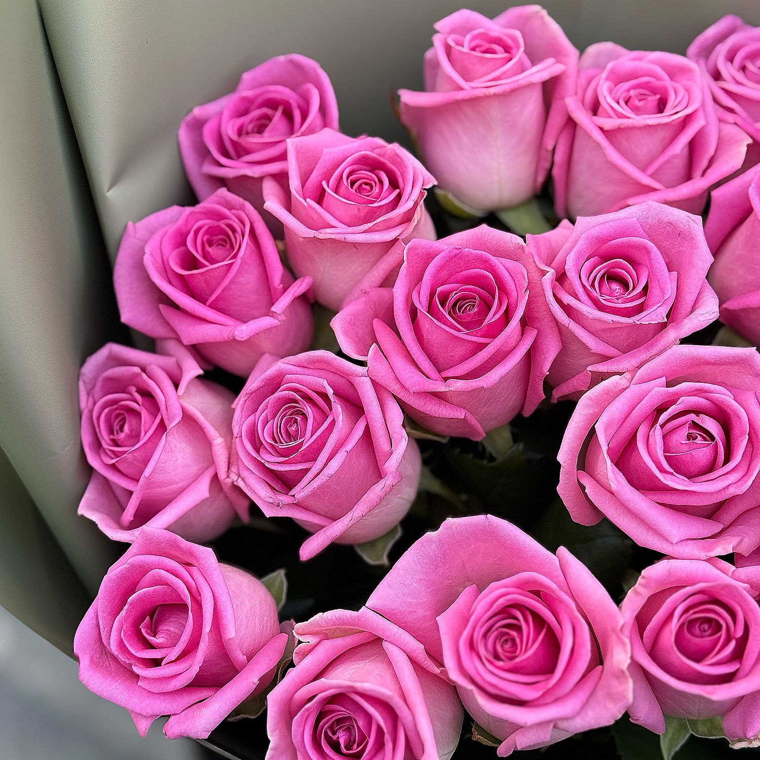 Bouquet 21 pink roses