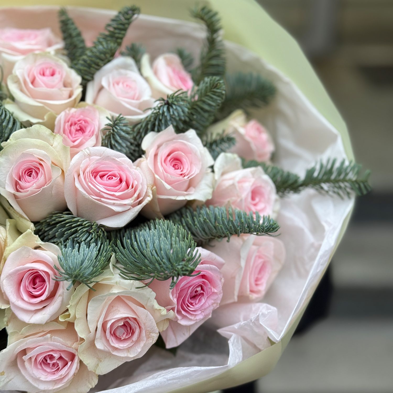 Bouquet Powder winter