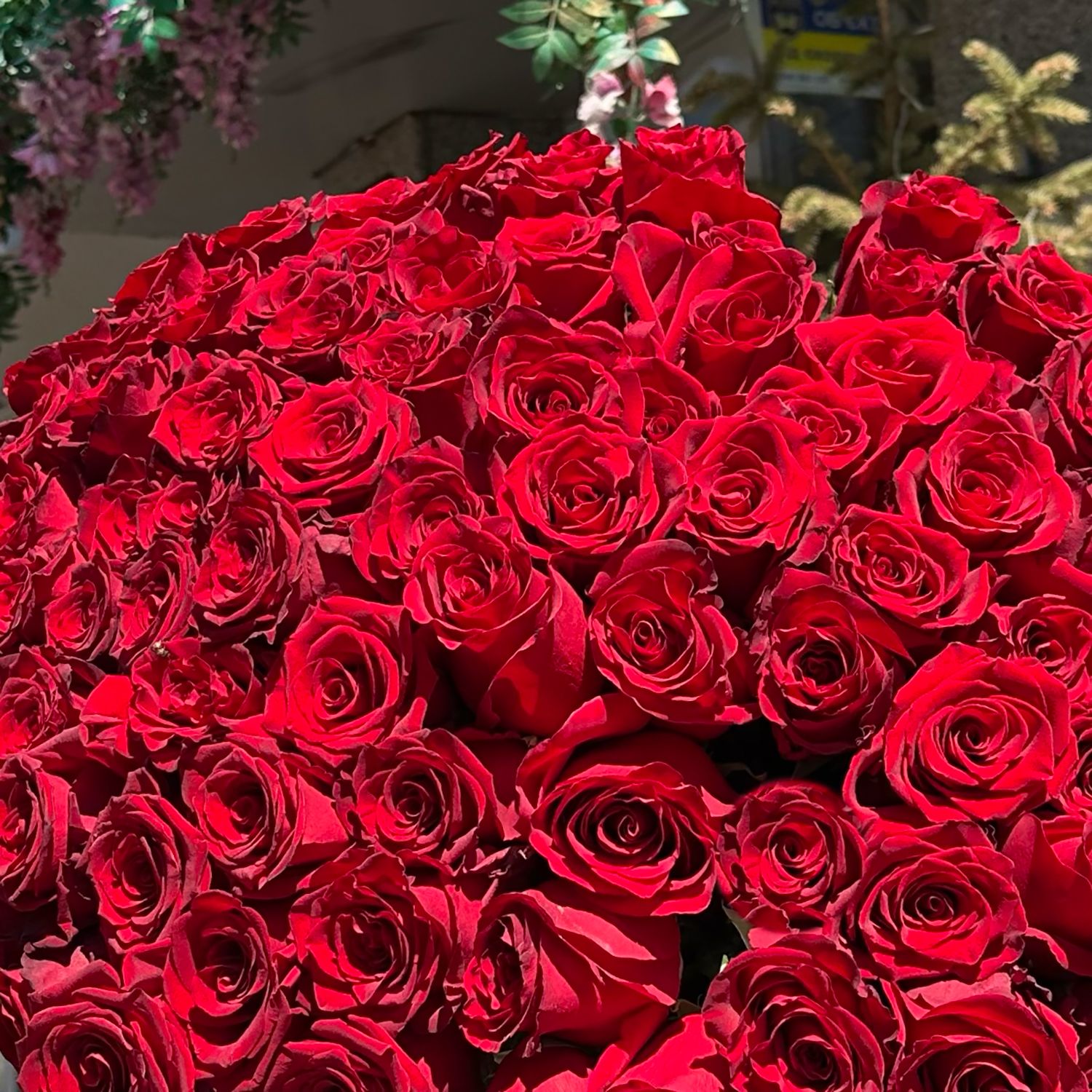 Bouquet 101 long red roses