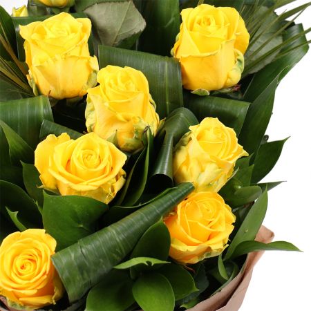 yellow rose (13 pcs.), aspidistra, packaging, ribbon