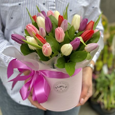 Product 25 tulips in a box