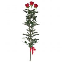 red rose (3 pcs.), packaging, ribbon