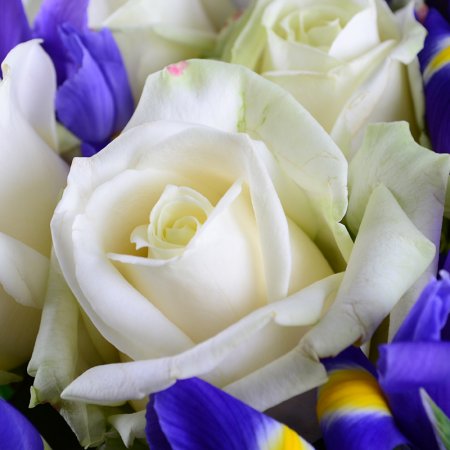 Bouquet Winter dream