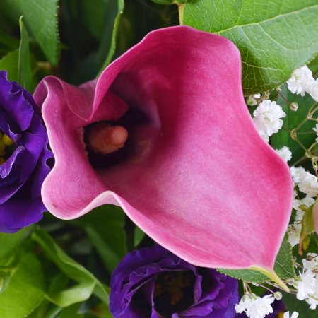 Bouquet Compliment