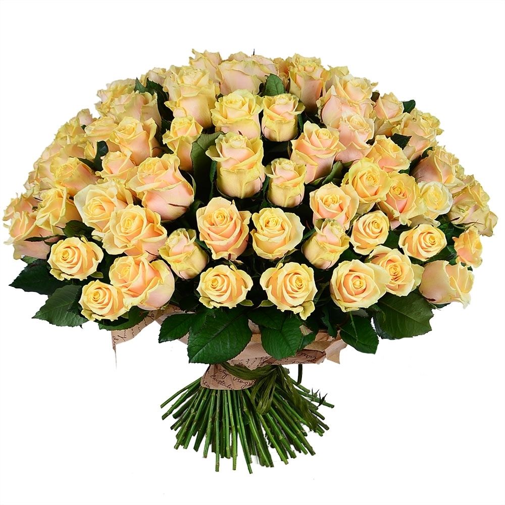 cream rose (101 pcs.), packaging, ribbon
