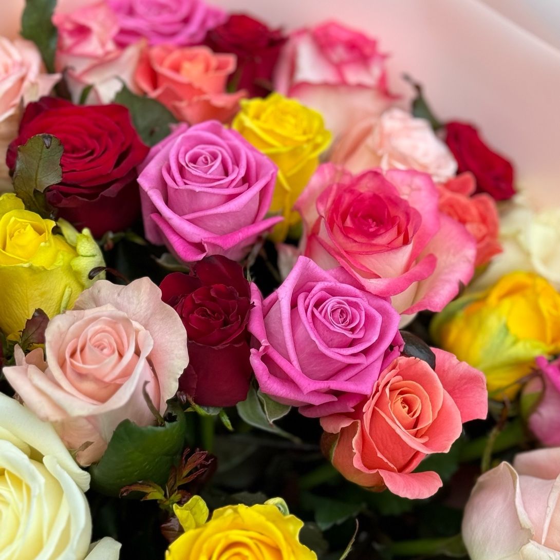 red rose (4 pcs.), pink rose (4 pcs.), yellow rose (4 pcs.), white rose (4 pcs.), cream rose, packaging, ribbon, coral rose, packaging, ribbon, jumilia rose