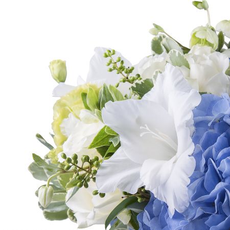 carnation, hydrangea, gladiolus, rose (10 pcs.), eustoma, freesia, packaging, ribbon