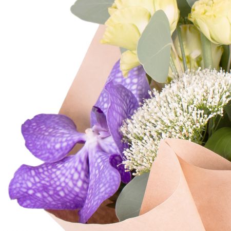 eustoma, orchid, eucalyptus (2 pcs.), ornithogalum (2 pcs.), heleborus, trachelium, packaging, tape