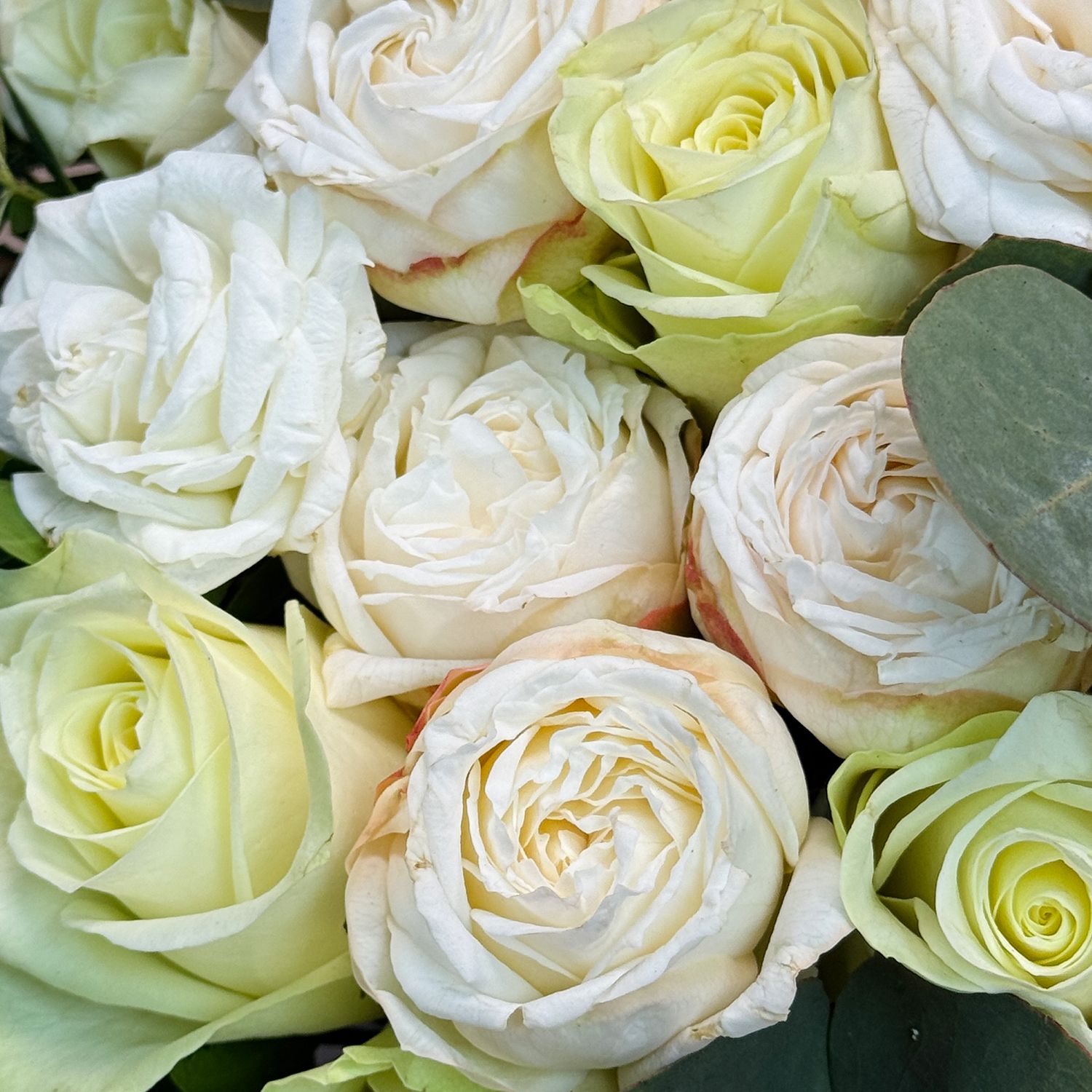 white rose (21 pcs.), cream spray rose (10 pcs.), eucalyptus, decorative elements, oasis, round box, packaging, ribbon