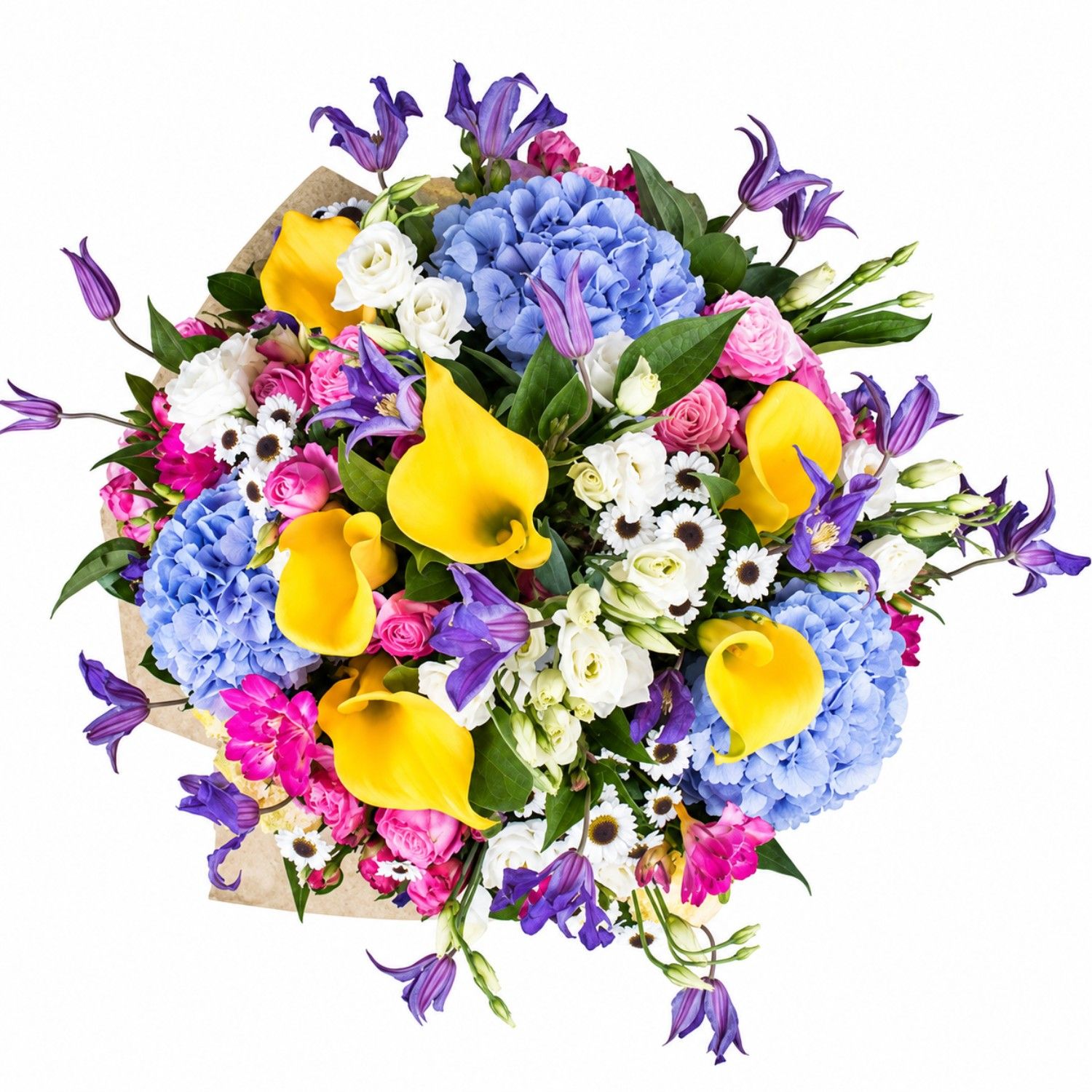 callas, hydrangea, clematis, eustoma, freesia, carnation, packaging, ribbon