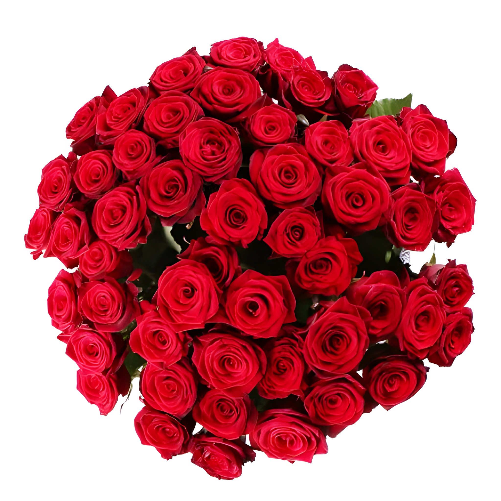 rose (50 pcs., packaging, ribbon)