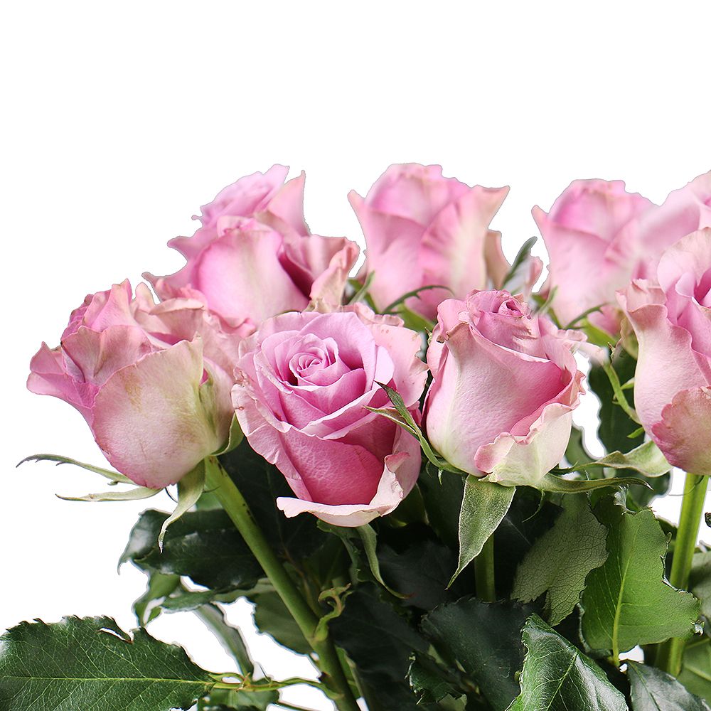 Bouquet Rose Memory Lane by piece