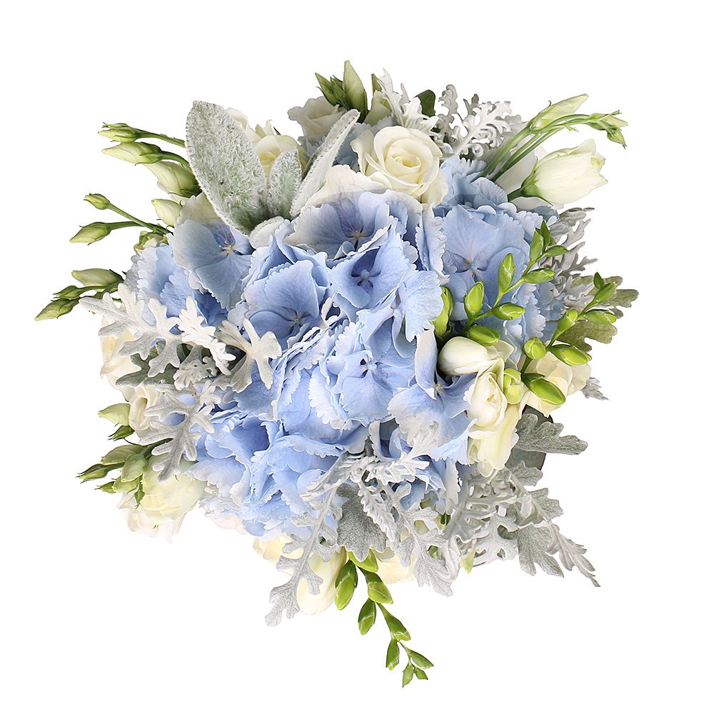 cineraria, hydrangea, eucalyptus, eustoma, freesia, rose (7 pcs.), packaging, ribbon