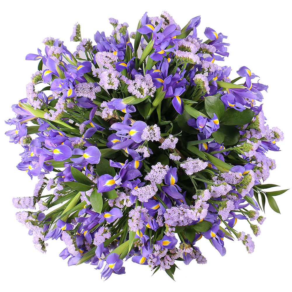 Bouquet Purple fog