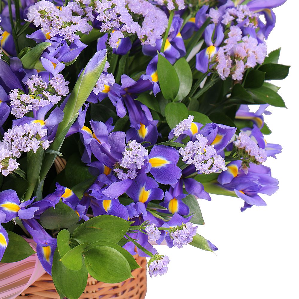 Bouquet Purple fog