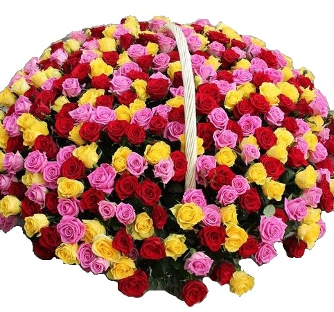 Bouquet Mix of 301 rose