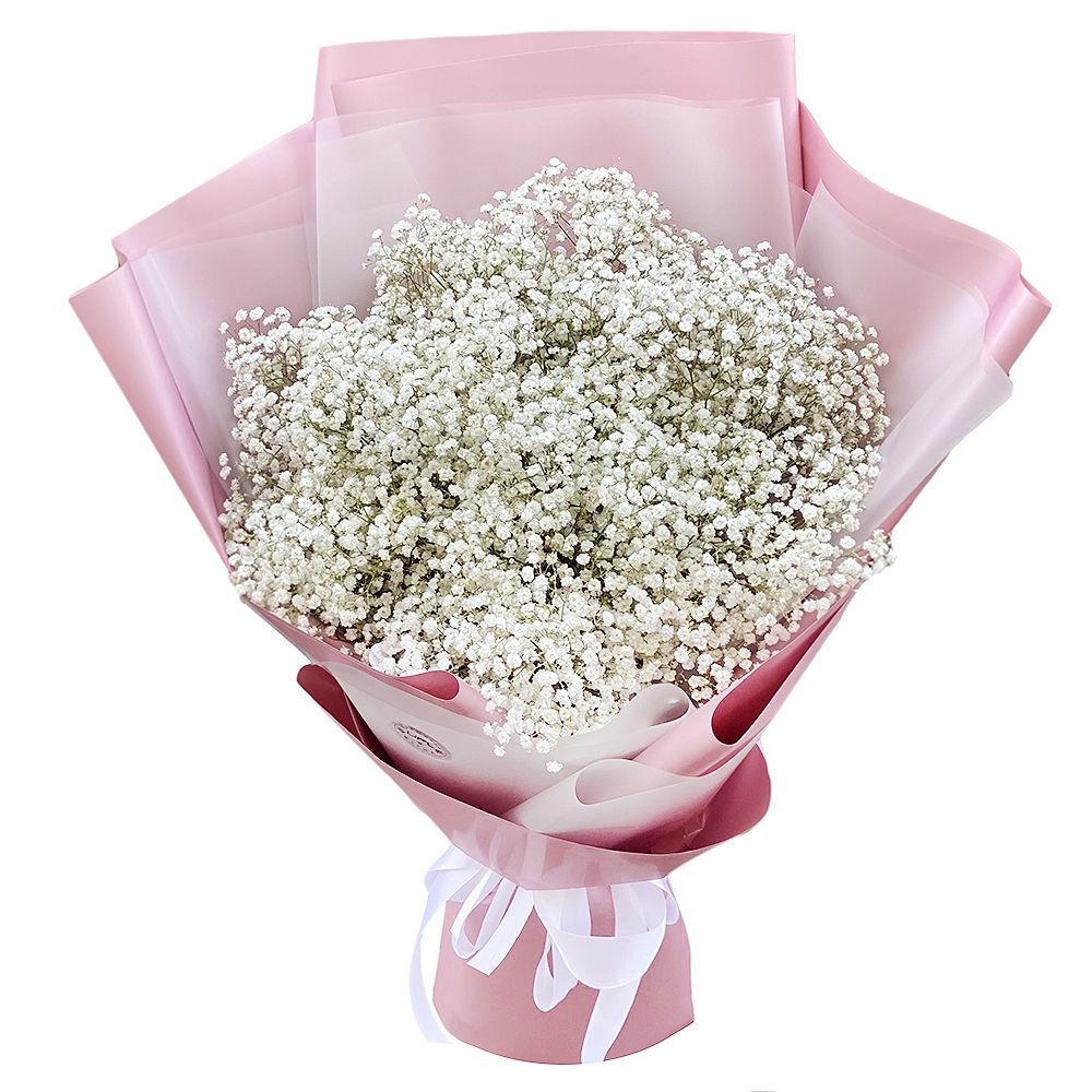 gypsophila (11 pcs.), packaging, ribbon