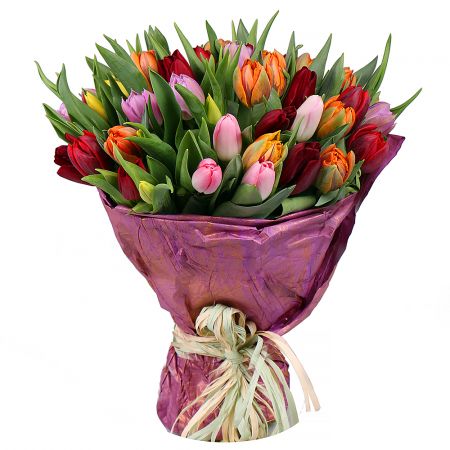 Bouquet Tulips!