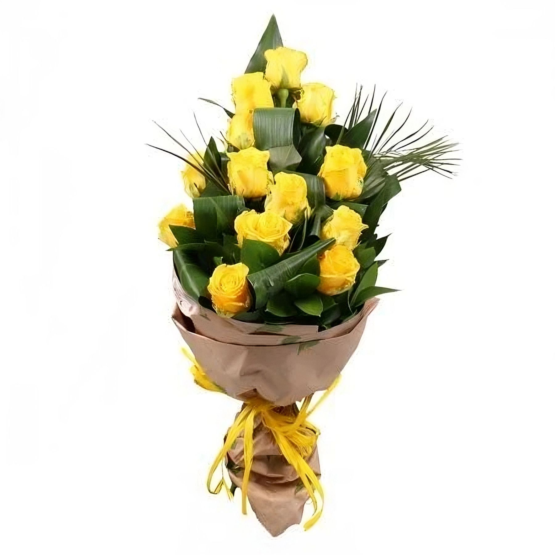 yellow rose (13 pcs.), aspidistra, packaging, ribbon