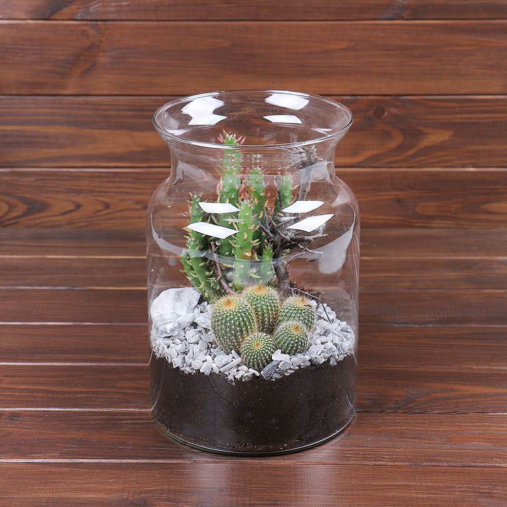 Product Vase with cacti
