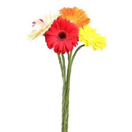 Bouquet Red gerberas by the piece