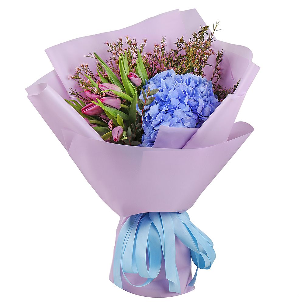 Bouquet Blue hydrangea with tulips
