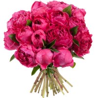 peony (25 pcs.), packaging, ribbon