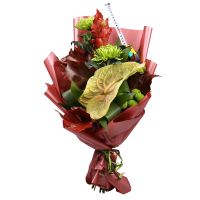 anthurium, bush chrysanthemum (2 pcs.), single-headed chrysanthemum (2 pcs.), cuercus (2 pcs.), packaging, ribbon