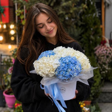 Bouquet Tender hydrangeas in a box 5pcs