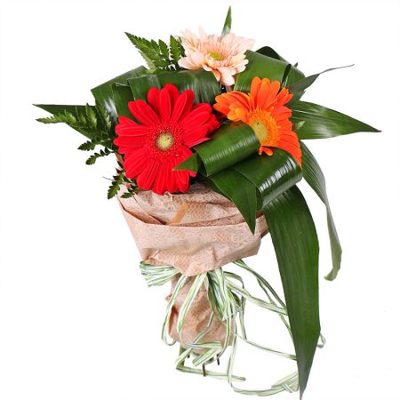 Bouquet Grace gerberas