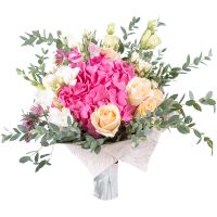 pink hydrangea, white freesia (3 pcs.), cream rose (7 pcs.), eucalyptus, packaging, ribbon