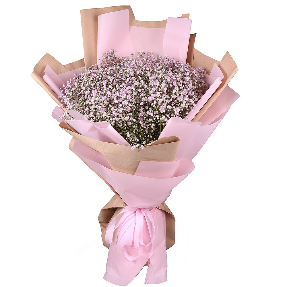 gypsophila (13 pcs.), packaging, ribbon