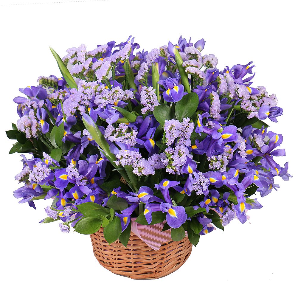 Bouquet Purple fog